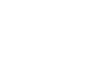 Feinberg Silver®